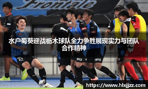 三亿体育官网